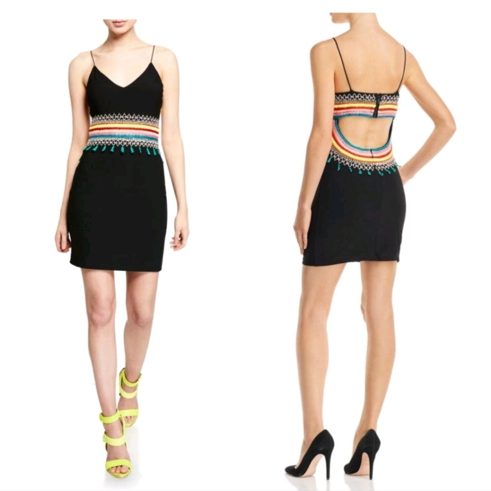 Alice + Olivia Loralee Embroidered Mini Dress Size 8